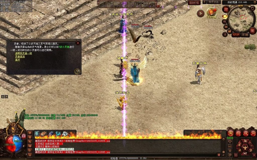 图片[66]-追忆神武金币