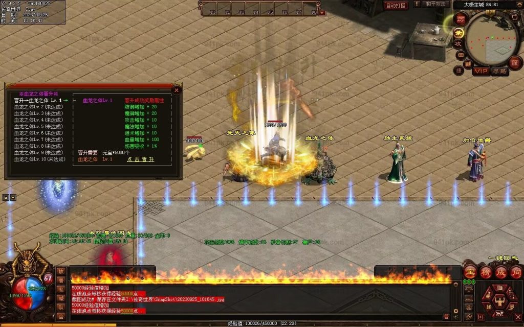 图片[87]-鼎盛杀戮低属性冰雪打金-自动拾取回收