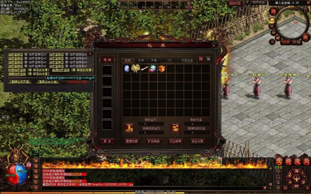 图片[106]-鼎盛杀戮低属性冰雪打金-自动拾取回收