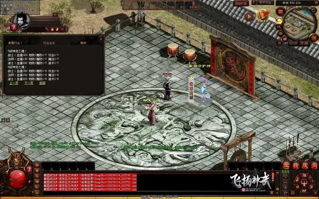 图片[3]-飞扬神武元神