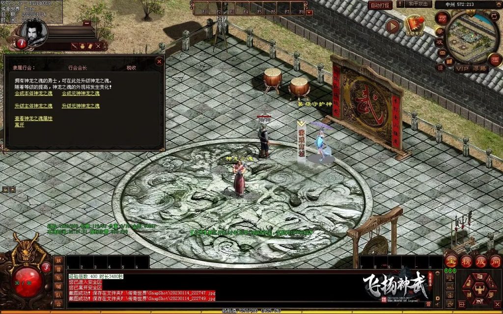 图片[6]-飞扬神武元神