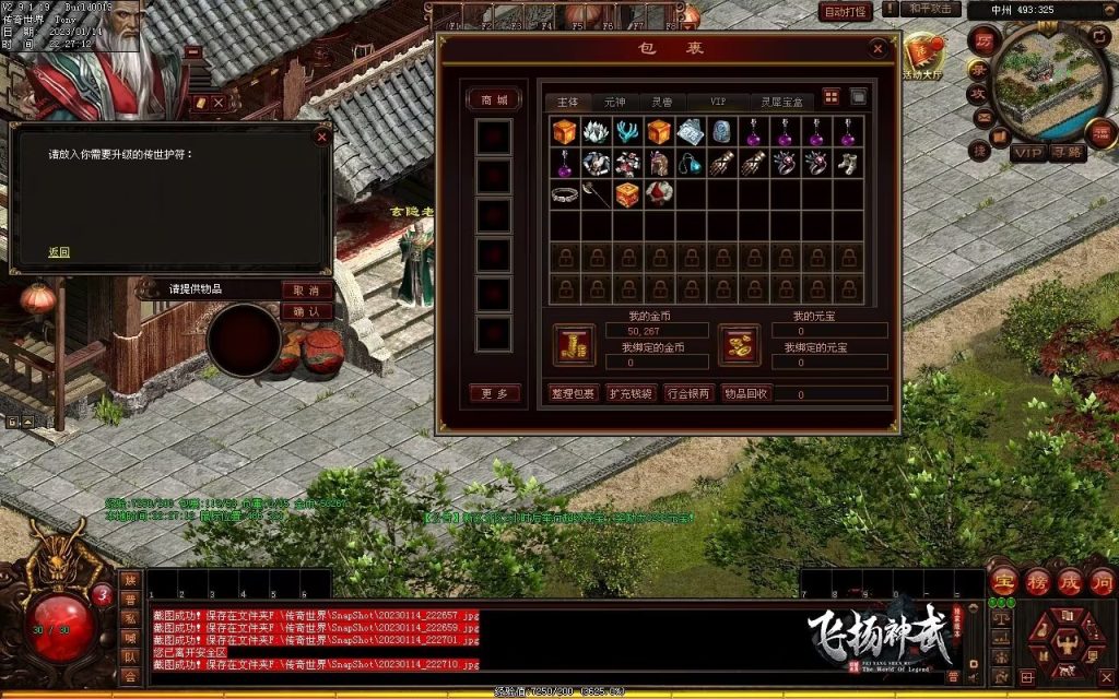 图片[9]-飞扬神武元神