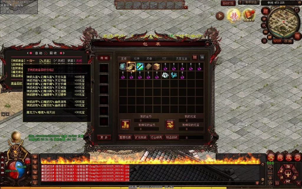 图片[89]-九霄蟠龙三职业带元神