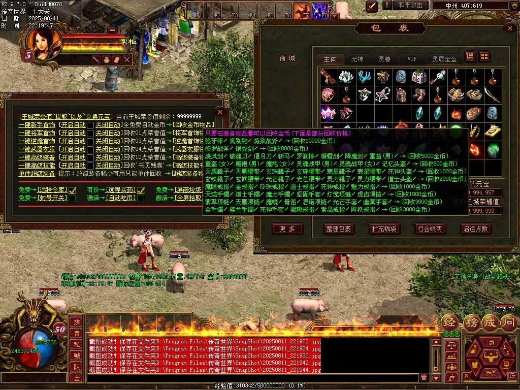 图片[21]-龙城神武元神时长版-透视化形群毒-自动拾取回收