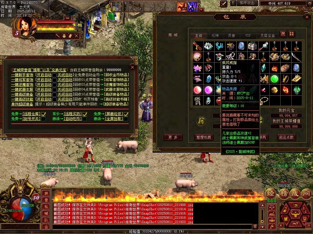 图片[15]-龙城神武元神时长版-透视化形群毒-自动拾取回收